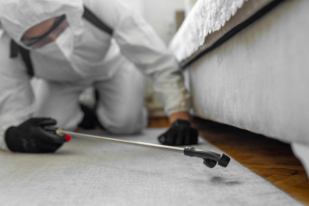 Professional Pest Control technician working in Salem, NJ
