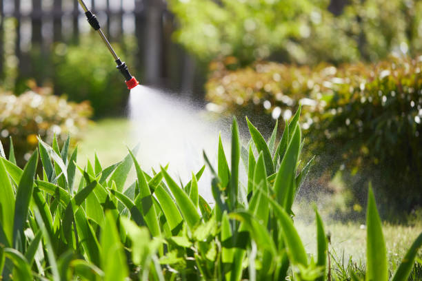 24/7 Emergency Fumigation Services experts in Salem, NJ