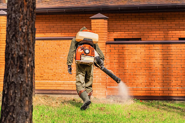 Trusted Rodent Control service in Salem, NJ - Nex Pest Control